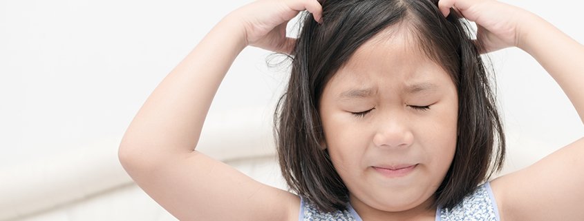 Exactly-How-to-Eliminate-Head-Lice